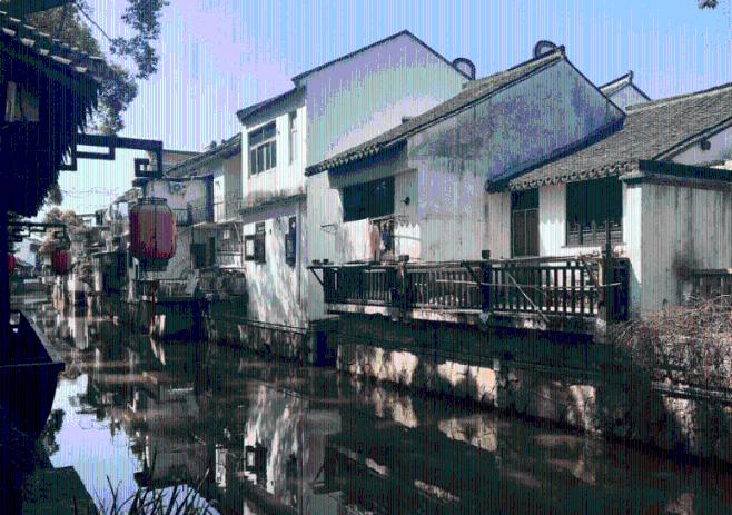 春雨直播app